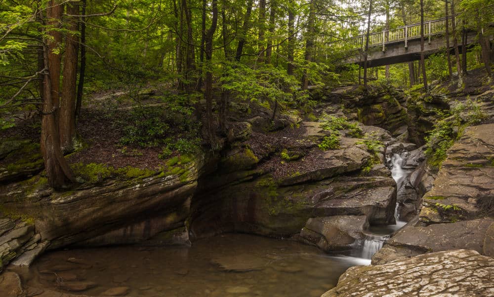 Seven Tubs Nature Area Wilkes-Barre, PA